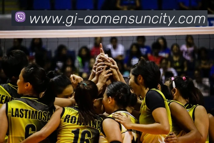 澳门太阳城官网服务体系